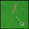 Παίξε το παιχνίδι Amazing Golf 
