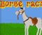 Παίξε το παιχνίδι Horse Racin